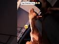 when dogs get sleepy