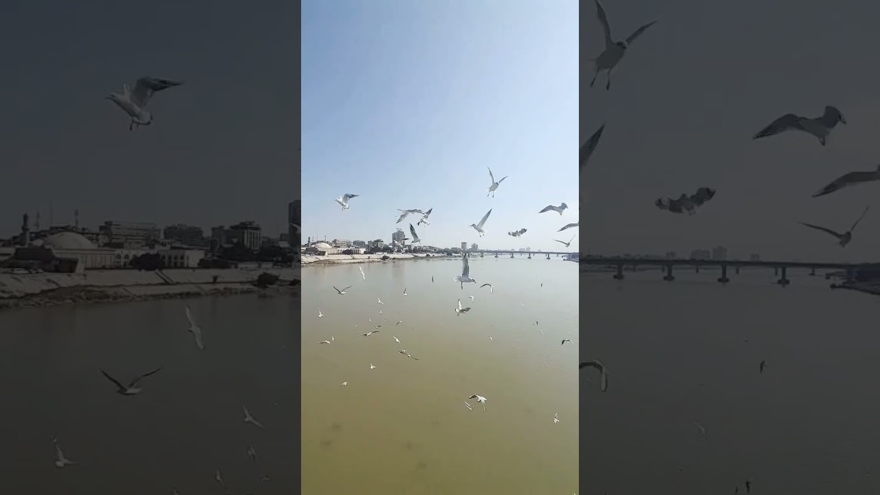 Iraq, Baghdad, Tigris River 🇮🇶❤️🇮🇶