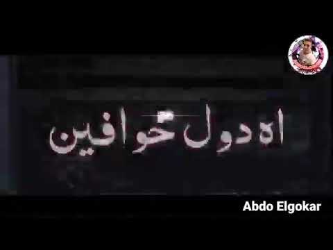 لا مش مخلصين سلكانين