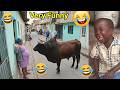 😱 Bushman Comes Alive! 😂 Funniest Prank Reactions Ever Caught On Camera
