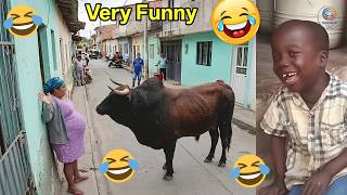 😱 Bushman Comes Alive! 😂 Funniest Prank Reactions Ever Caught On Camera