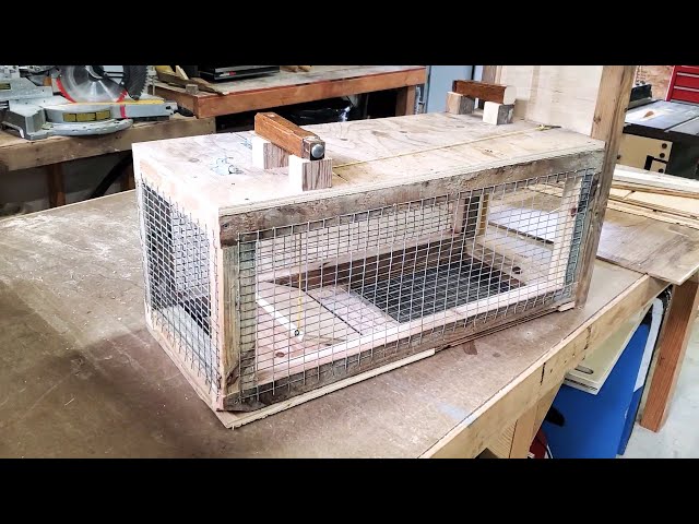 SIMPLE, EASY DIY Live Animal Trap! class=