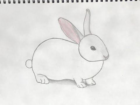 How I draw a rabbit/Πως  ζωγραφίζω ένα κουνελάκι