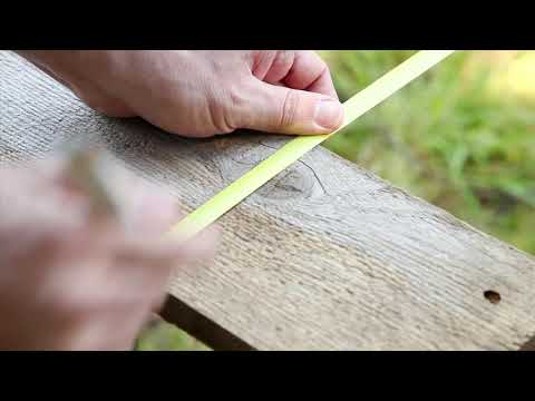 الطول والعرض