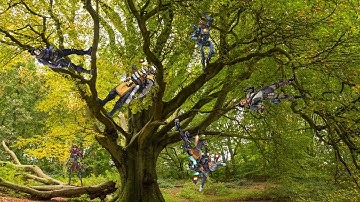 Apex: Slow Motion Bug