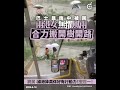 黑雨來襲 巴士被困 兩港女合力搬開樹開路