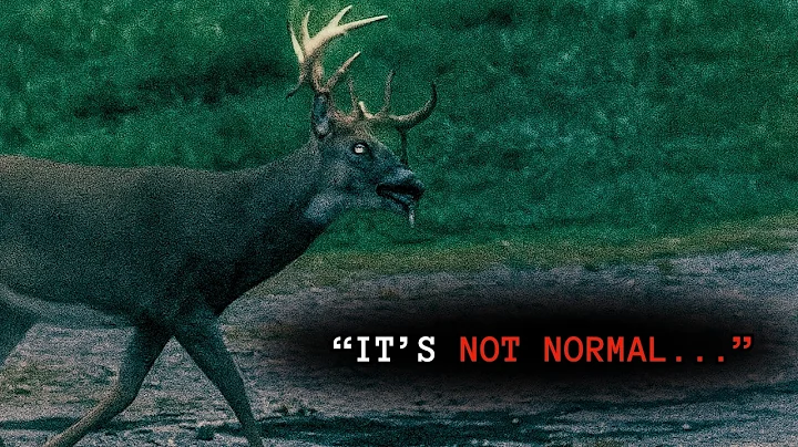 5 MOST DISTURBING Hunting Encounters