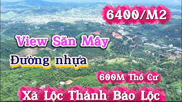 View Săn Mây Đường Nhựa Thổ Cư Xã Lộc Thành Bảo Lộc