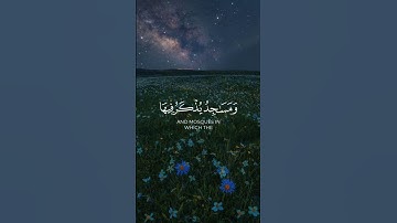 ادعموننا لنشر القرآن #اكسبلور #اكسبلور_explore #راحة_نفسية #راحة #تلاوة_خاشعة #لايك #قرآن