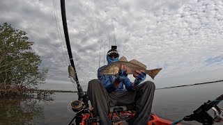 Crystal River Kayaking Fishing the Nature Coast in Ozello Florida