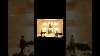 Setting Up a 20ft Artificial Christmas Tree