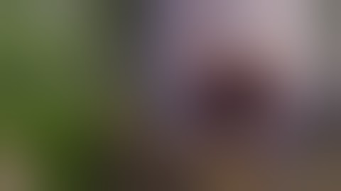 【MMD】SAYONARA / Io / Code Vein