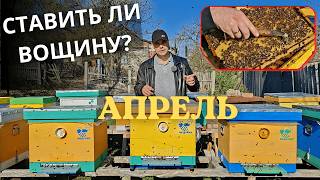 Ставить ли вощину? АПРЕЛЬ. Расширяем правильно!