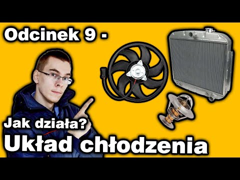 Wideo: Co To Jest Chłodnica