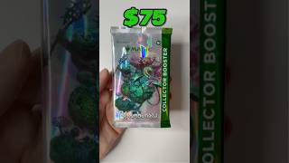 Episode 3: Bloomburrow Collectors Pack #mtg #collectorbooster #commander #commandermtg #bloomburrow