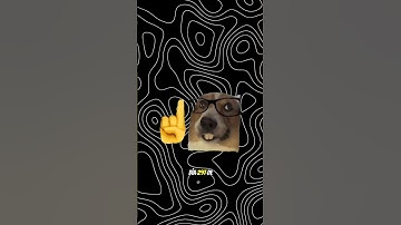 🐍 Día 297 de 365 Hoy creamos un generador de laberintos aleatorios usando el algoritmo DFS #python