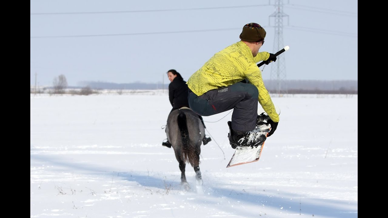 Skijoring with horse lóboard snowboard with horse YouTube