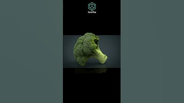 🥦 Realistic Broccoli 3D – High & Low Poly + PBR Ready!
