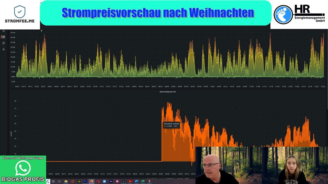 Romy zu Gast bei der Stromfee: NEGATIVE STROMPREISE durch Orkantief! BHKWs abschalten!