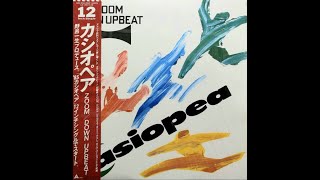 Casiopea  Zoom 12 Inch Single Rip