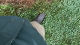 Rainy day adventure in waders and rain gear 3