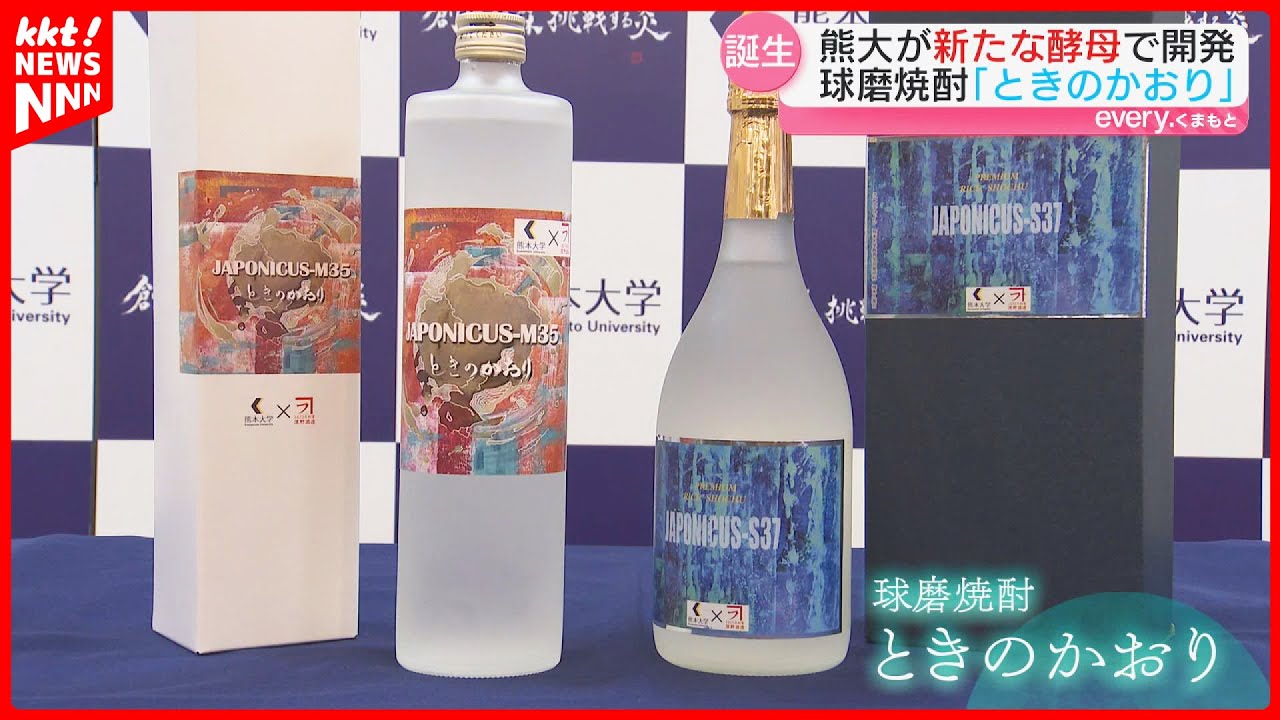失敗実験から誕生】「5億年前に枝分かれした酵母」から 