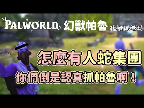 《幻獸帕魯》精華 | 怎麼有人蛇集團，你們倒是認真抓帕魯啊 【6tan】ft. 硬頸 老王