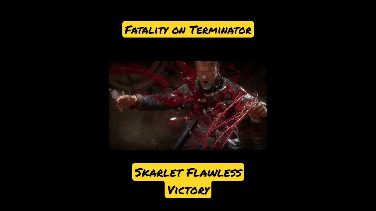 Mortal Kombat Review: Fatality Or Flawless Victory? - Geek News NOW