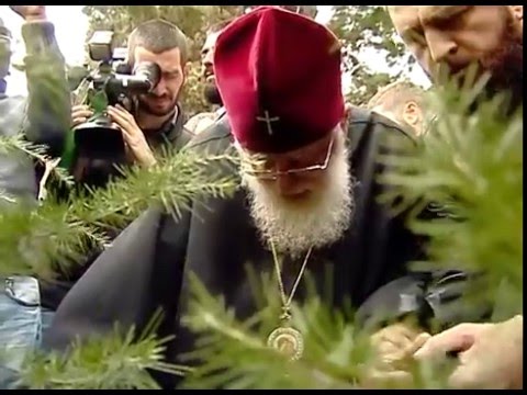 დიღმის ტყე-პარკში 600 წიწვოვანი ნერგი დაირგო