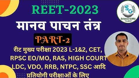 मानव पाचन तंत्र Human Digestive System |  Reet level 2 science maths | Reet level 1 2023 | 3rd grade