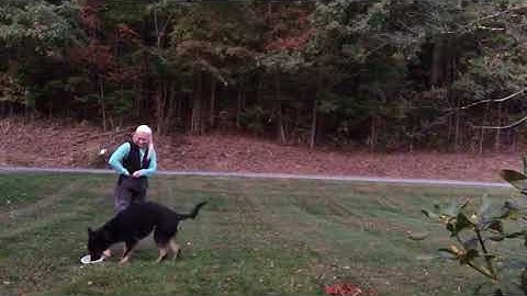 Sloan week 1 Delayed Reinforcement