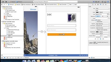 9  Adding a Button and a Label mp4