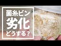 【菌糸ビンの劣化】交換すべきタイミングは？菌糸ビンは劣化するとどうなるの？