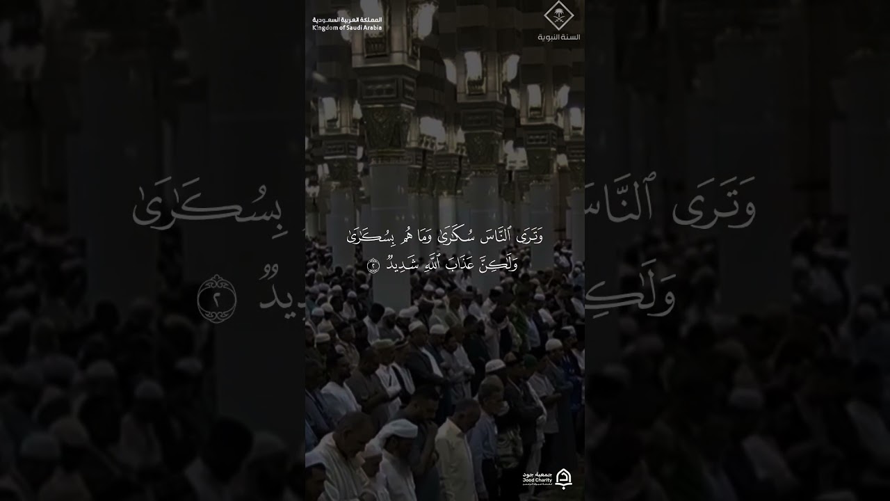 مقتطف من تلاوة فضيلة الشيخ #محمد_برهجي من صلاة الفجر الثلاثاء 25 ذو القعدة 1447هـ #المسجد_النبوي
