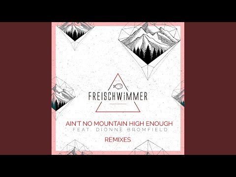 Ain't No Mountain High Enough (Artenvielfalt Edit)