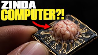 Why Scientists Are Putting Real Brains Inside Computers News