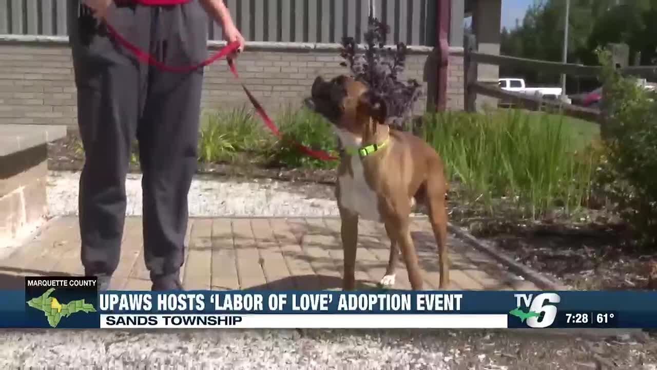 UPAWS hosts ‘Labor of Love’ adoption event through holiday weekend ...