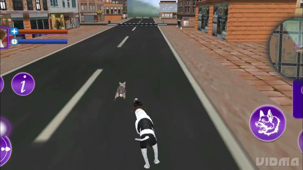 dog-games-to-play-with-your-dog-gaming-dog-doggames-youtube