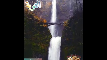 سورة التوبة - الشيخ حاتم فريد الواعر - قراءة عطرة مباركة - صوت طيب جميل