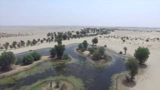 Phantom 3 4K flight - Al Qudra Lakes, Dubai