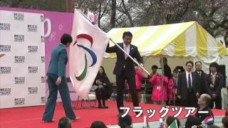 小金井公園のサクラの下で小池知事とフラッグツアー