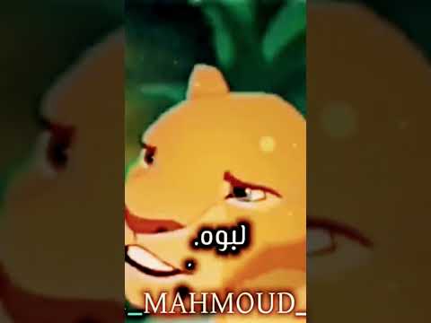 اههههه لبوه يا جماعة دي مرت الاسد صفو ال نيها