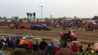 Feelin' Froggy. Casselman. 2013.