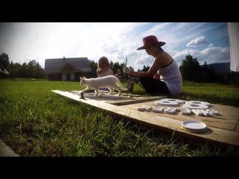 Bo tutaj jest mój dom ;)