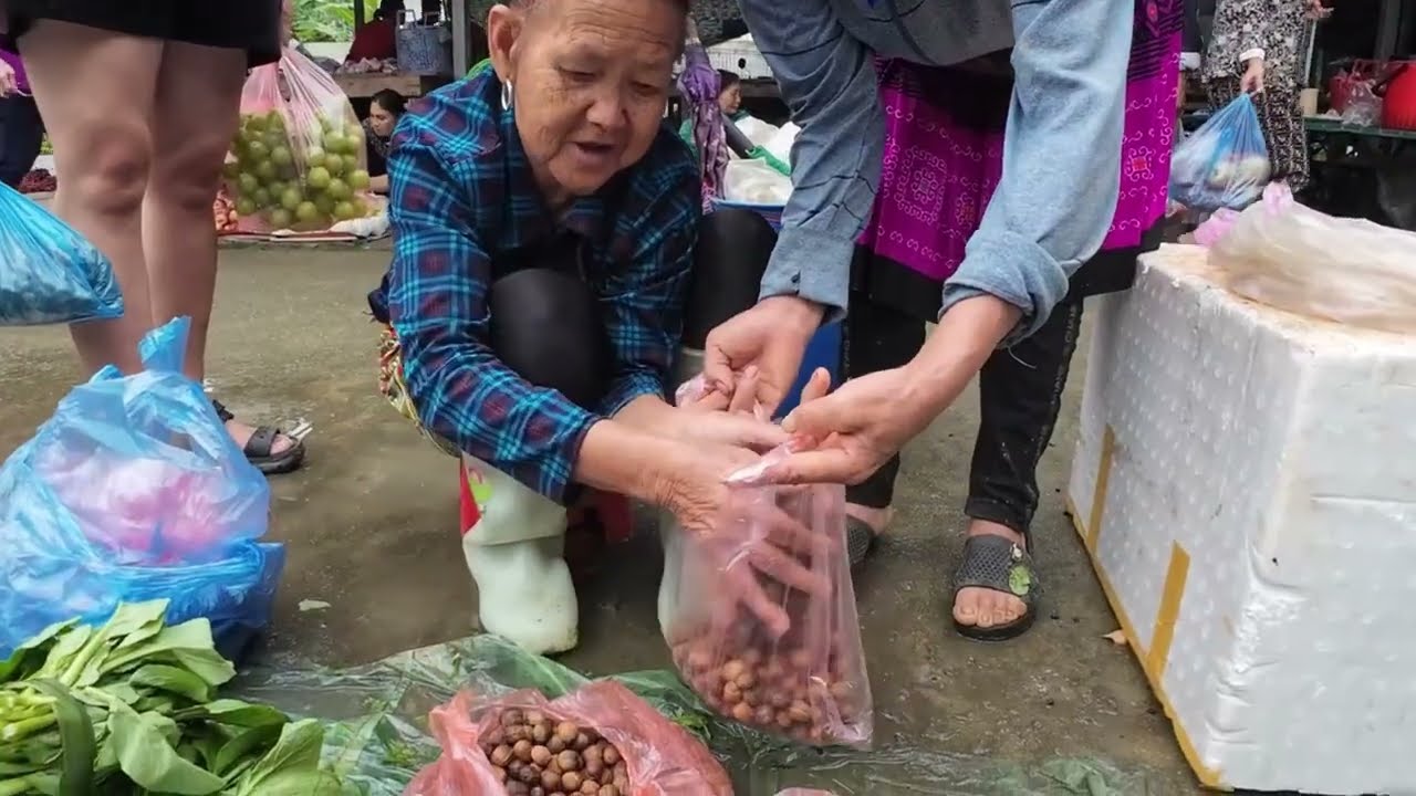 Exploring Phong Hai Fair Market – The Highlands of Lao Cai, Vietnam