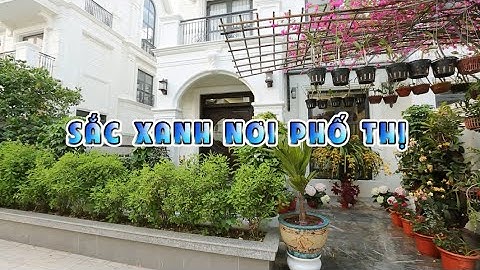 CHƯƠNG TRÌNH KHÔNG GIAN XANH - SẮC XANH NƠI PHỐ THỊ | KIẾN TRÚC DOORWAY