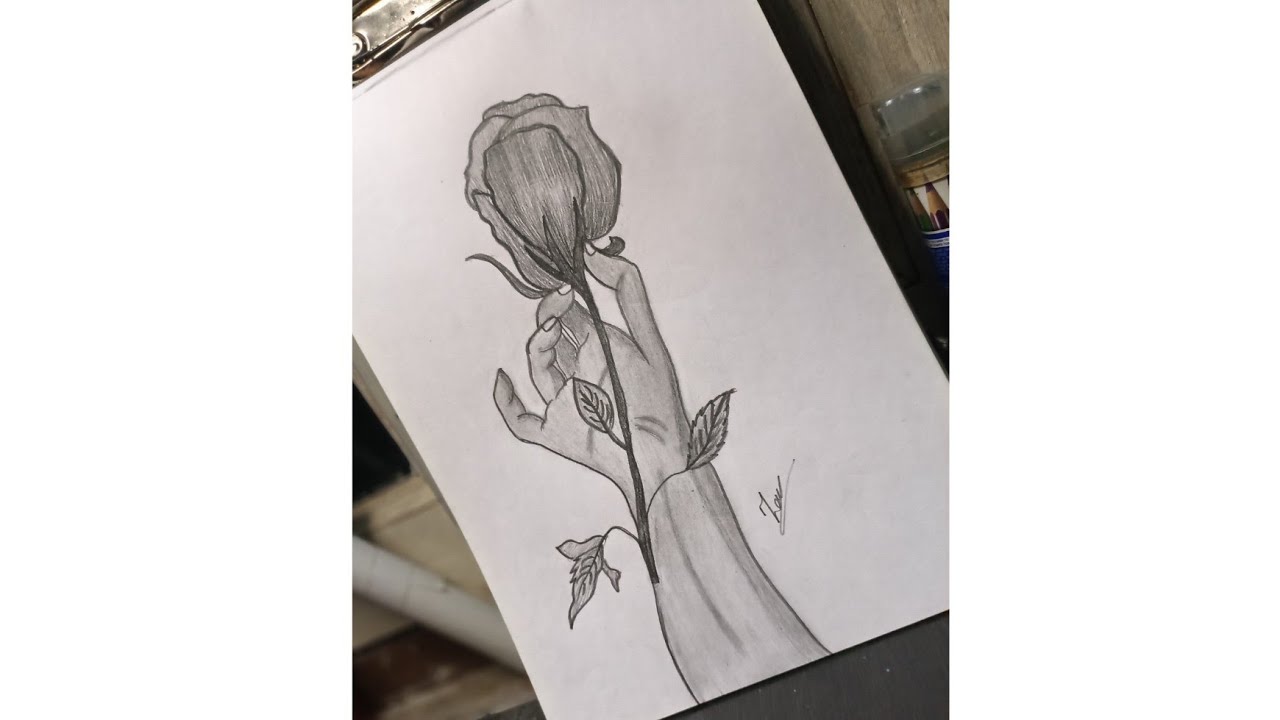 Rose 🌹 drawing pencil se kaese banaye sundar gulab drawing pencil art #🌹gulab 