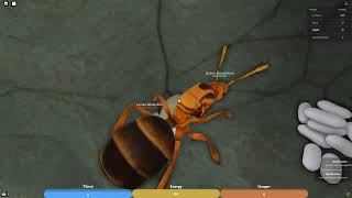 Roblox Ant Life Part 3 we Didnt get 100 vies but i became queen