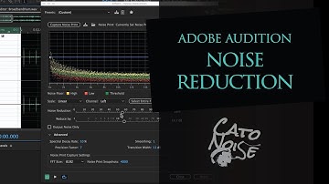Audio Restoration Part 1: Using Adobe Audition for Noise Reduction