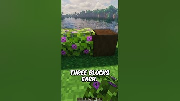 Better Minecraft Fence Design #minecrafbuilds #minecraft #amazingbuilds